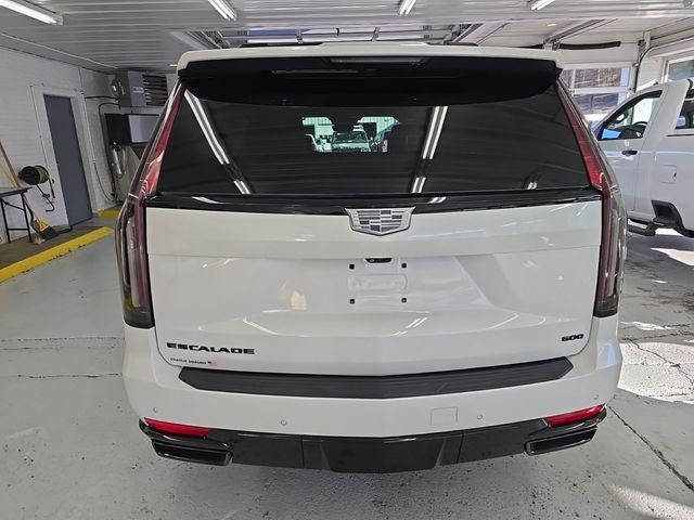 2022 Cadillac Escalade Photo in Staunton, VA 24401