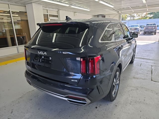 2023 Kia Sorento Hybrid Photo in Staunton, VA 24401